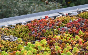 the cost of Ruabon green roof installation