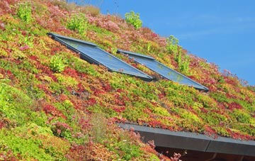 Ruabon living roof systems