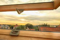 rated Ruabon roof window companies